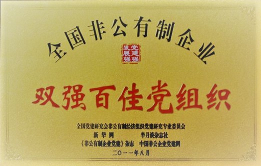 双强百佳党组织