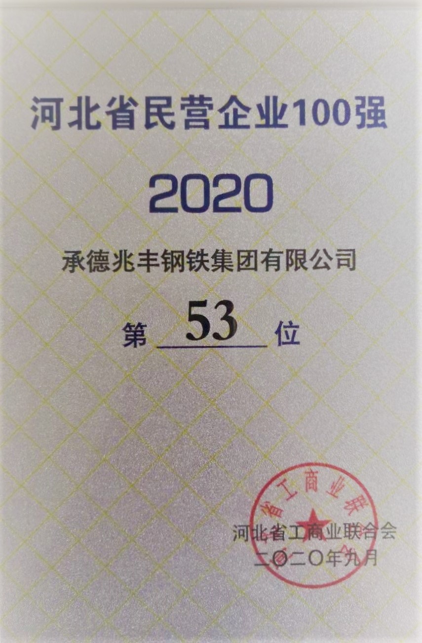 省百强民营企业2020